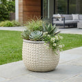 Beige Dot Ceramic Indoor Outdoor Round Pot Planter - 6-inch