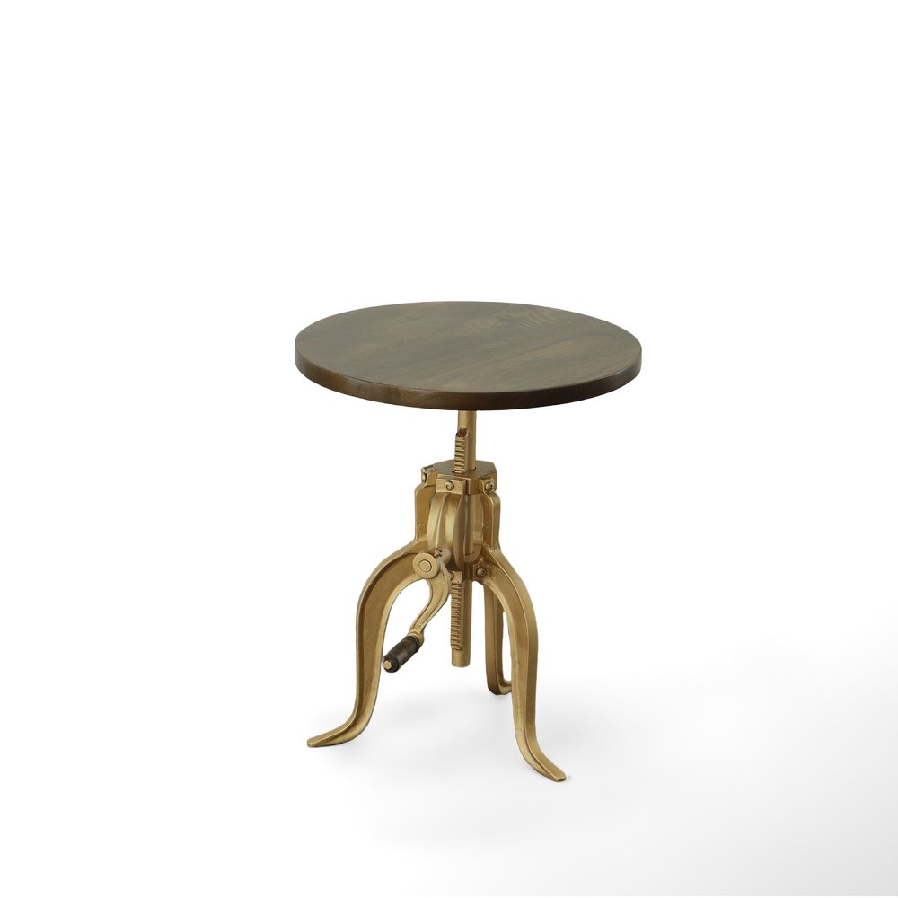 Brass Solid Wood and Iron Height Adjustable Round End Table - 19-inch