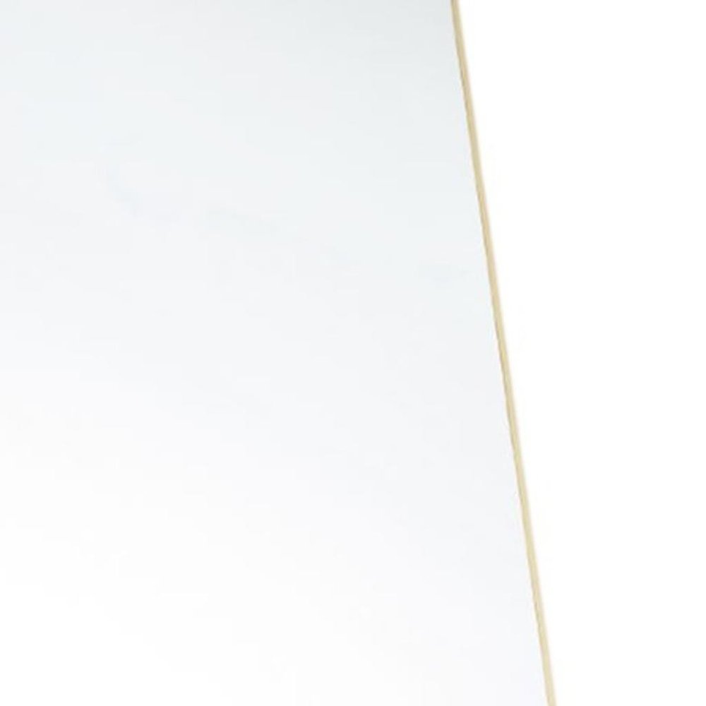 Gold Metal Freestanding and Wall Mount Framed Full Length Mirror - 63-inch