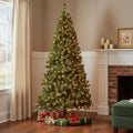 7' Pre Lit Full Spruce Christmas Tree