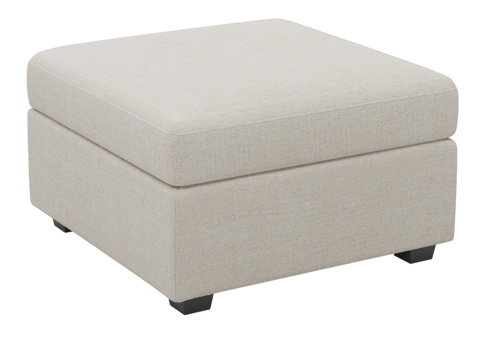 Beige and Black Chenille Storage Ottoman - 30-inch