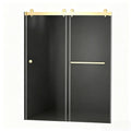 Set of Two Tempered Glass Shower Doors