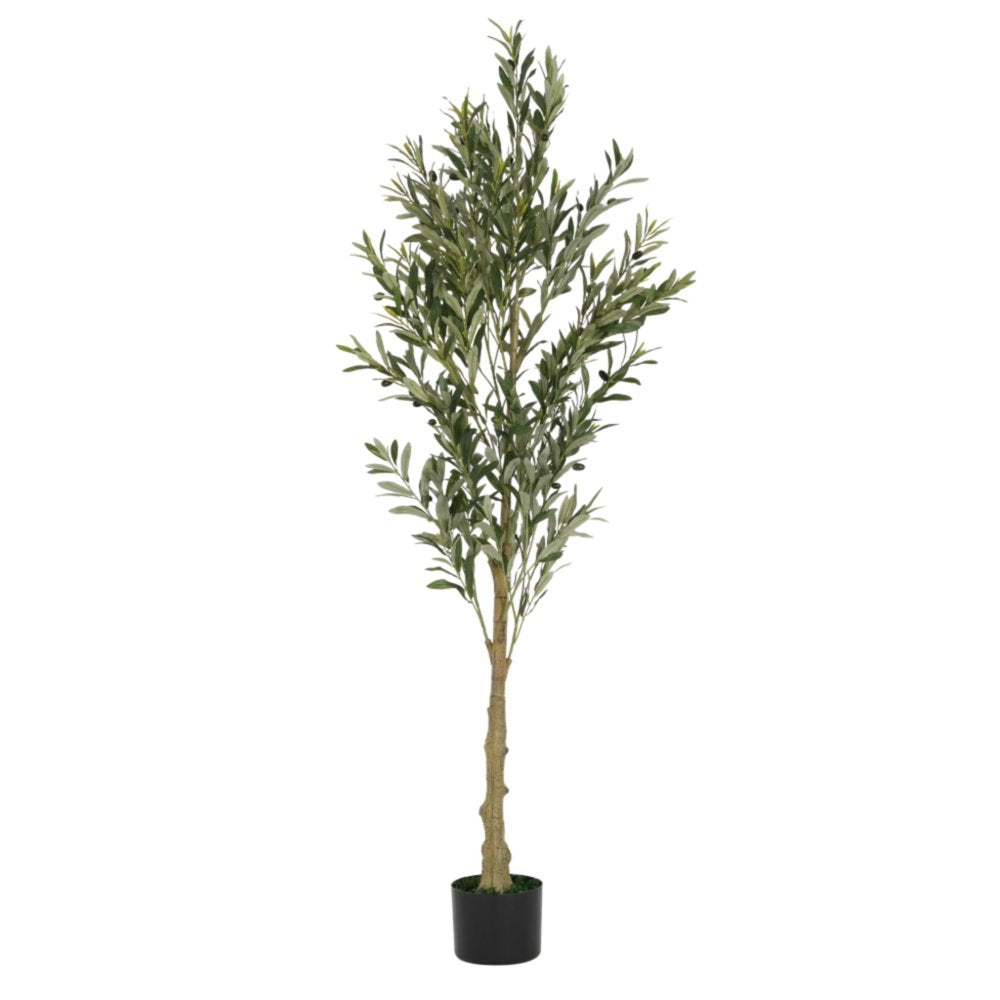 Green Artificial Olive Tree in Cylindrical Black Pot - 71-inch