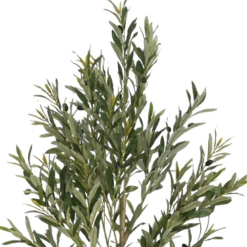 Green Artificial Olive Tree in Cylindrical Black Pot - 71-inch