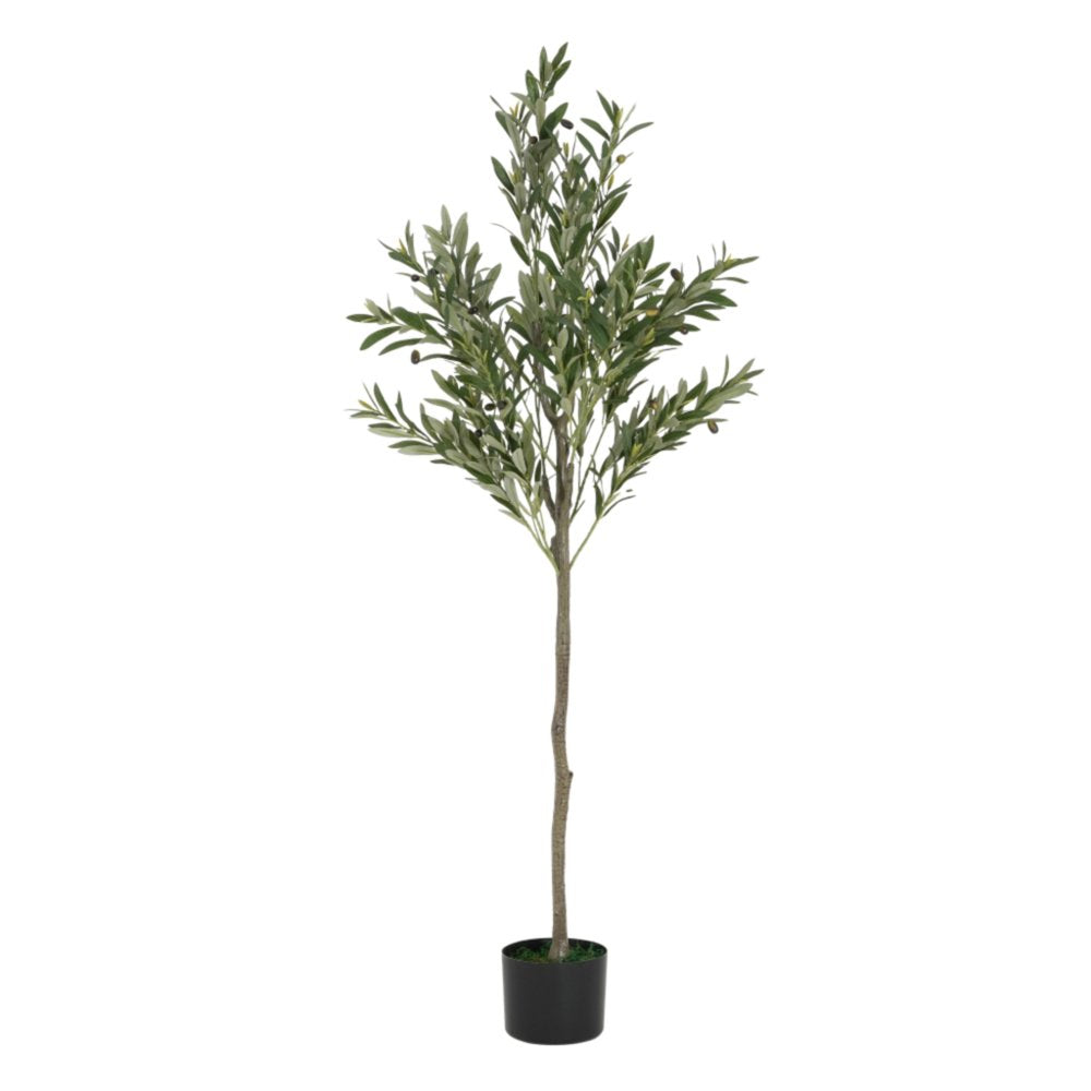 Green Artificial Olive Tree in Cylindrical Black Pot - 66-inch