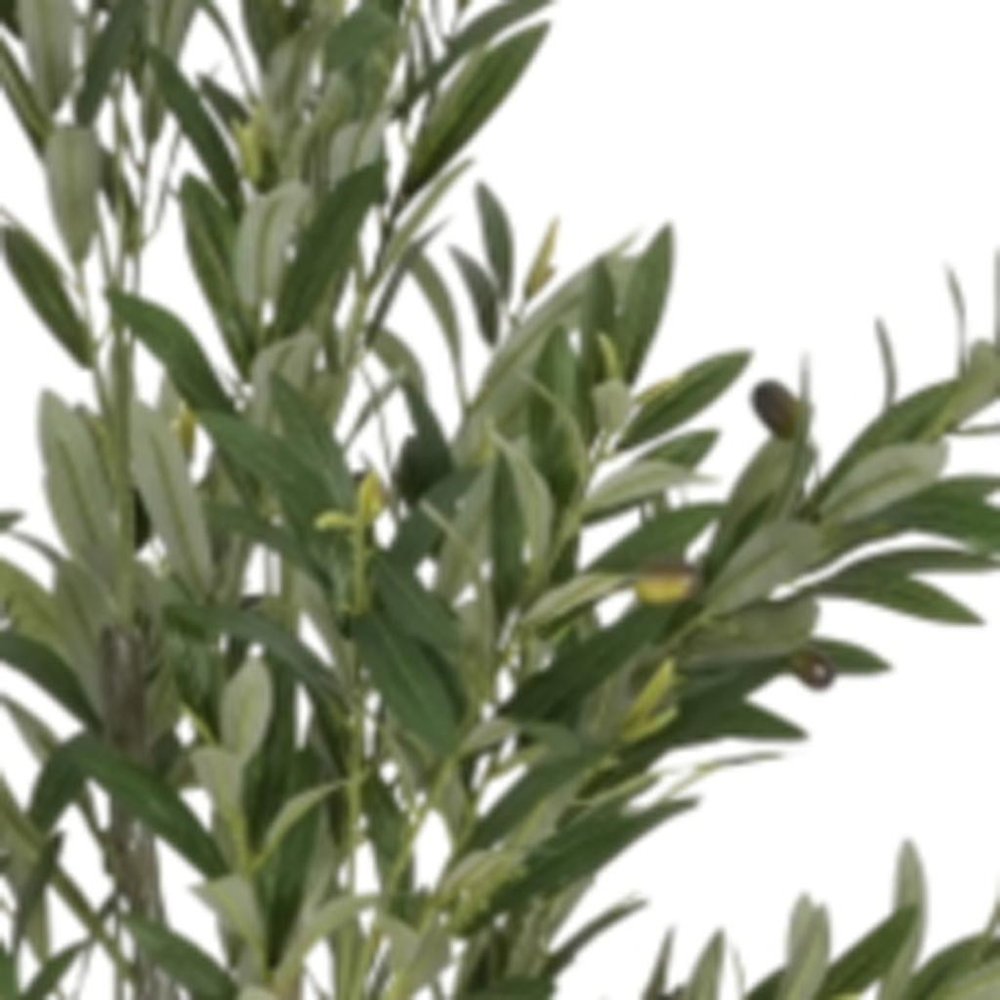 Green Artificial Olive Tree in Cylindrical Black Pot - 66-inch