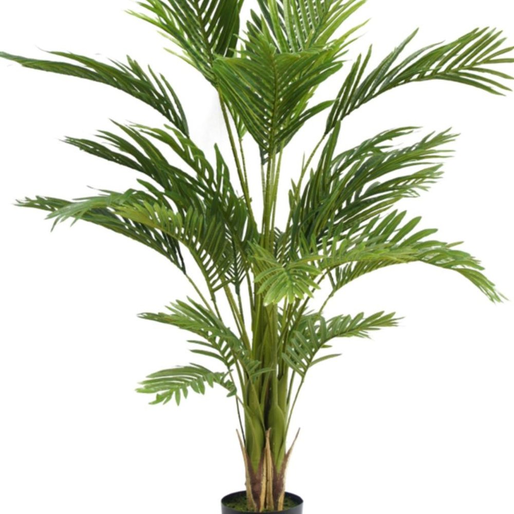 Green Artificial Palm Tree in Cylindrical Black Pot - 71-inch
