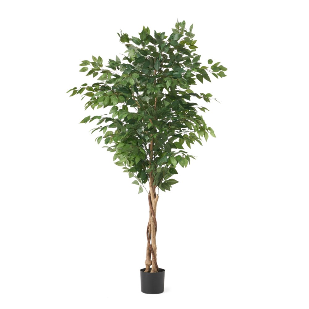 Green Artificial Ficus Tree in Cylindrical Black Pot - 71-inch