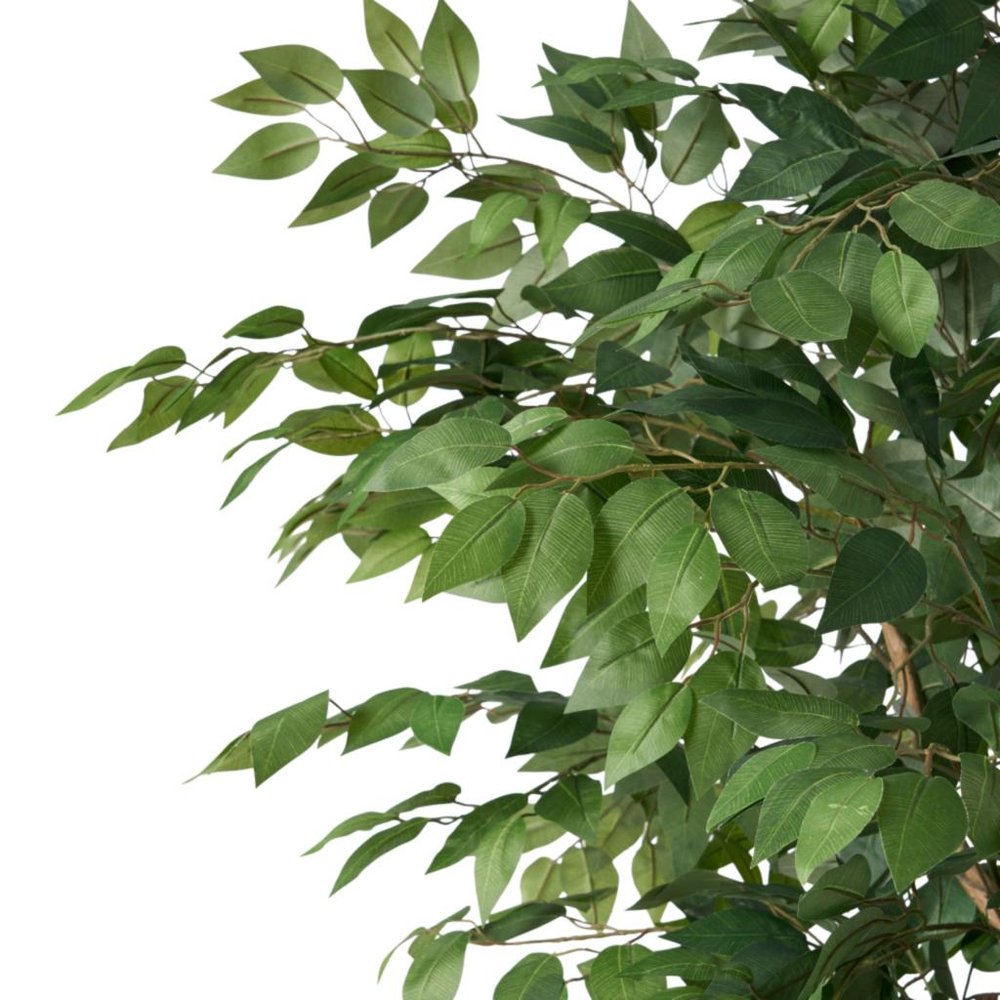 Green Artificial Ficus Tree in Cylindrical Black Pot - 71-inch