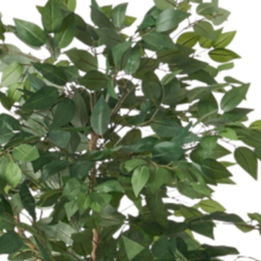 Green Artificial Ficus Tree in Cylindrical Black Pot - 71-inch