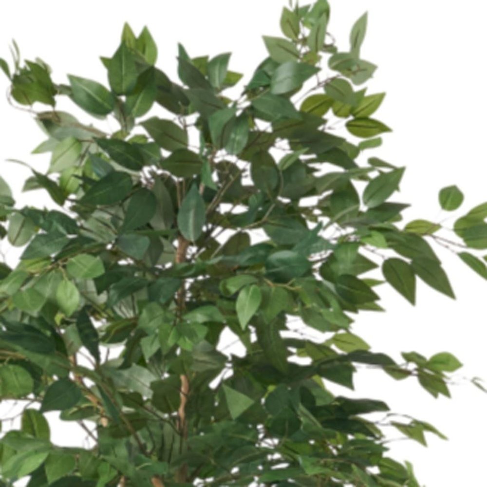 Green Artificial Ficus Tree in Cylindrical Black Pot - 71-inch