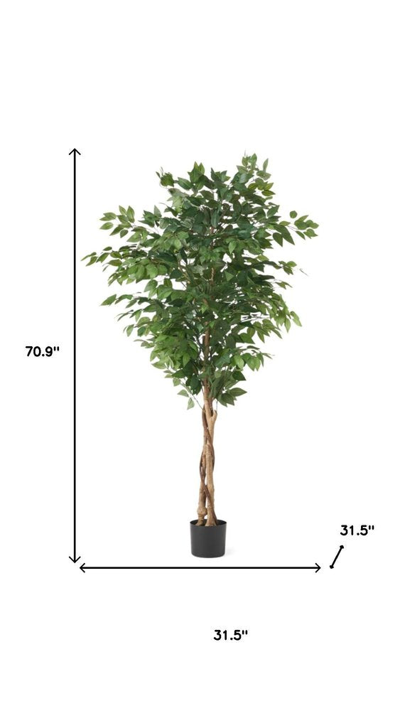 Green Artificial Ficus Tree in Cylindrical Black Pot - 71-inch