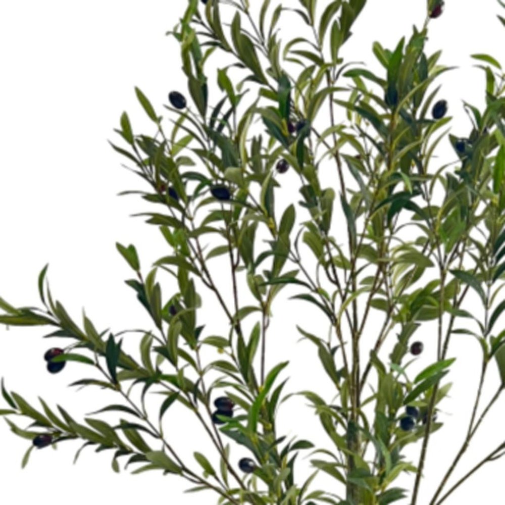 Green Artificial Olive Tree in Cylindrical Black Pot - 59-inch