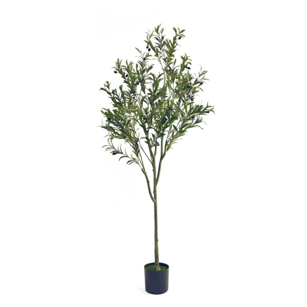 Green Artificial Olive Tree in Cylindrical Black Pot - 71-inch