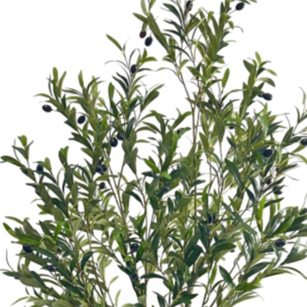 Green Artificial Olive Tree in Cylindrical Black Pot - 71-inch