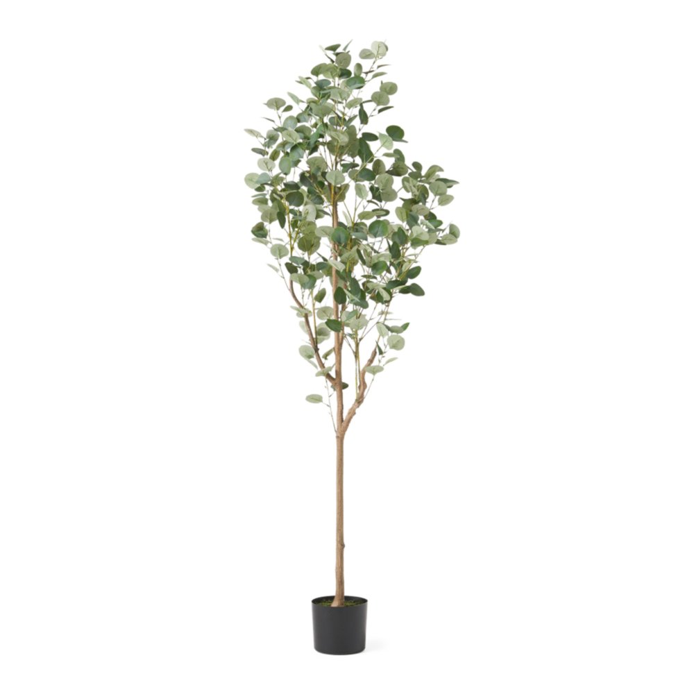 Green Artificial Eucalyptus Tree in Cylindrical Black Pot - 71-inch