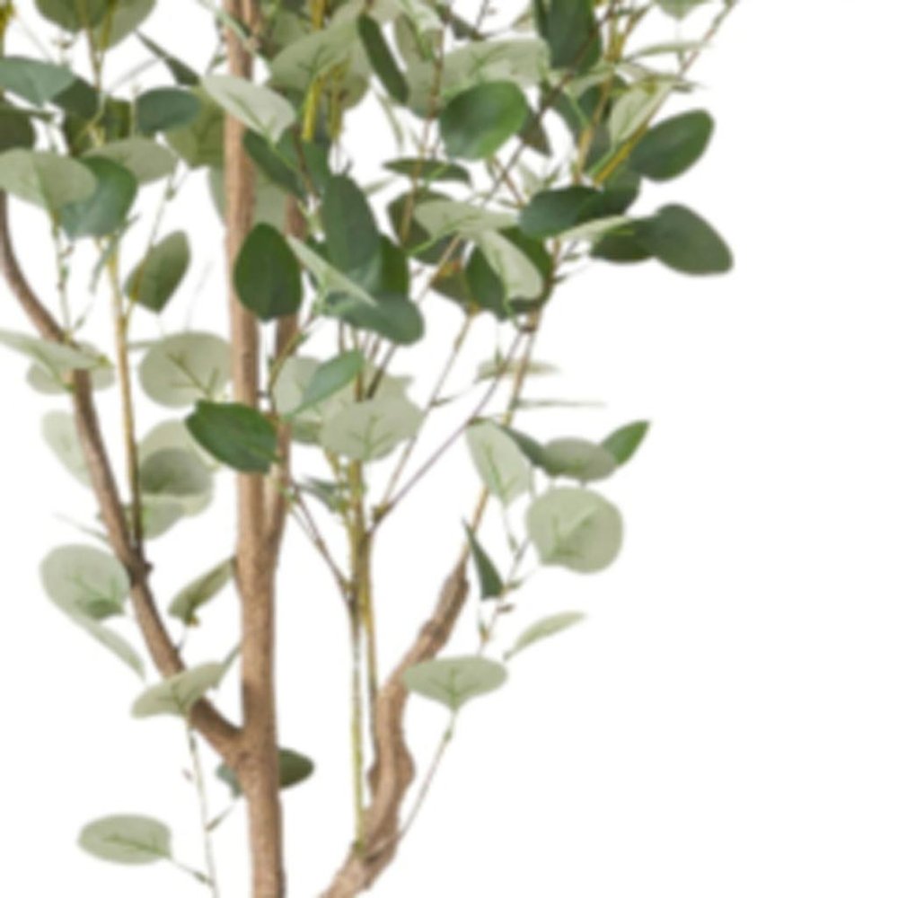 Green Artificial Eucalyptus Tree in Cylindrical Black Pot - 71-inch
