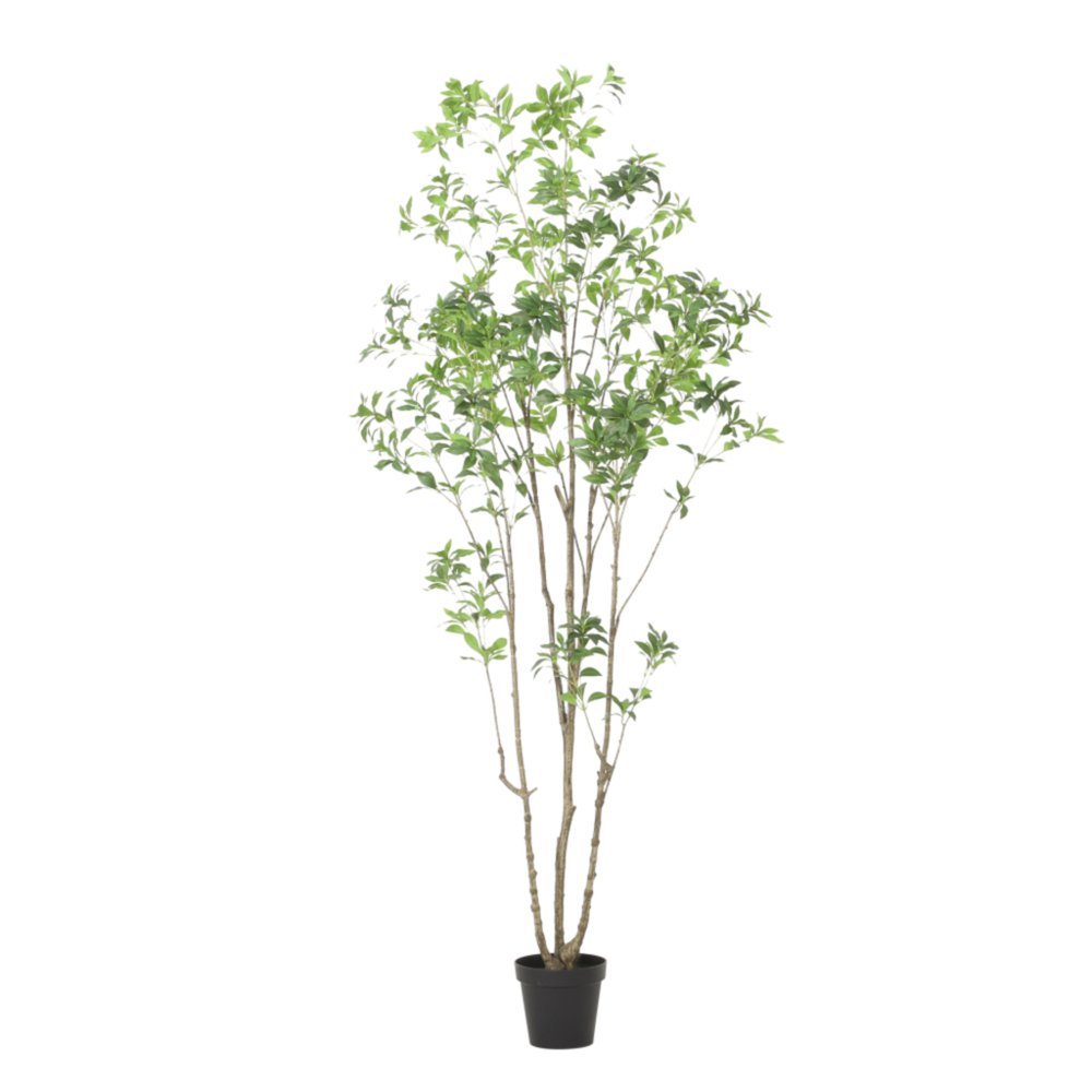 Green Artificial in Cylindrical Black Pot - 95-inch