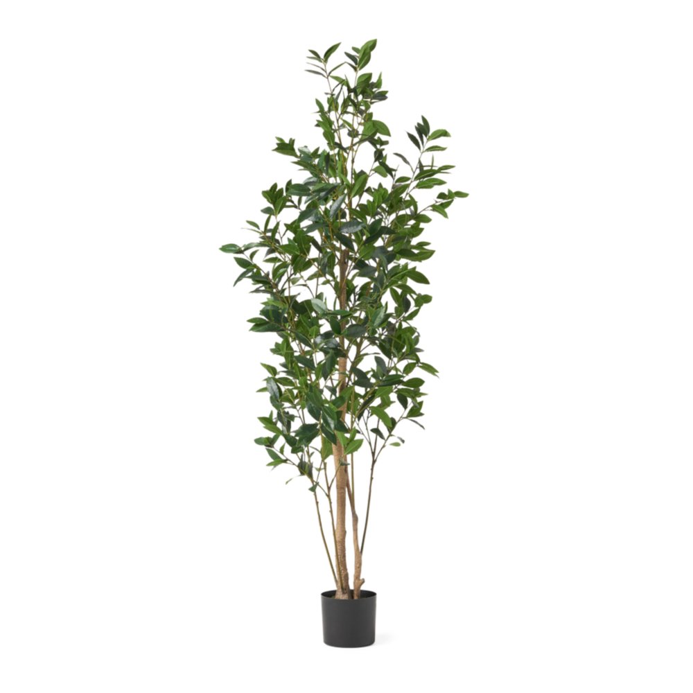 Green Artificial in Cylindrical Black Pot - 71-inch