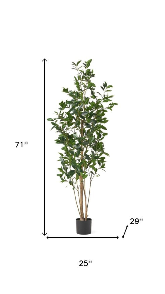 Green Artificial in Cylindrical Black Pot - 71-inch