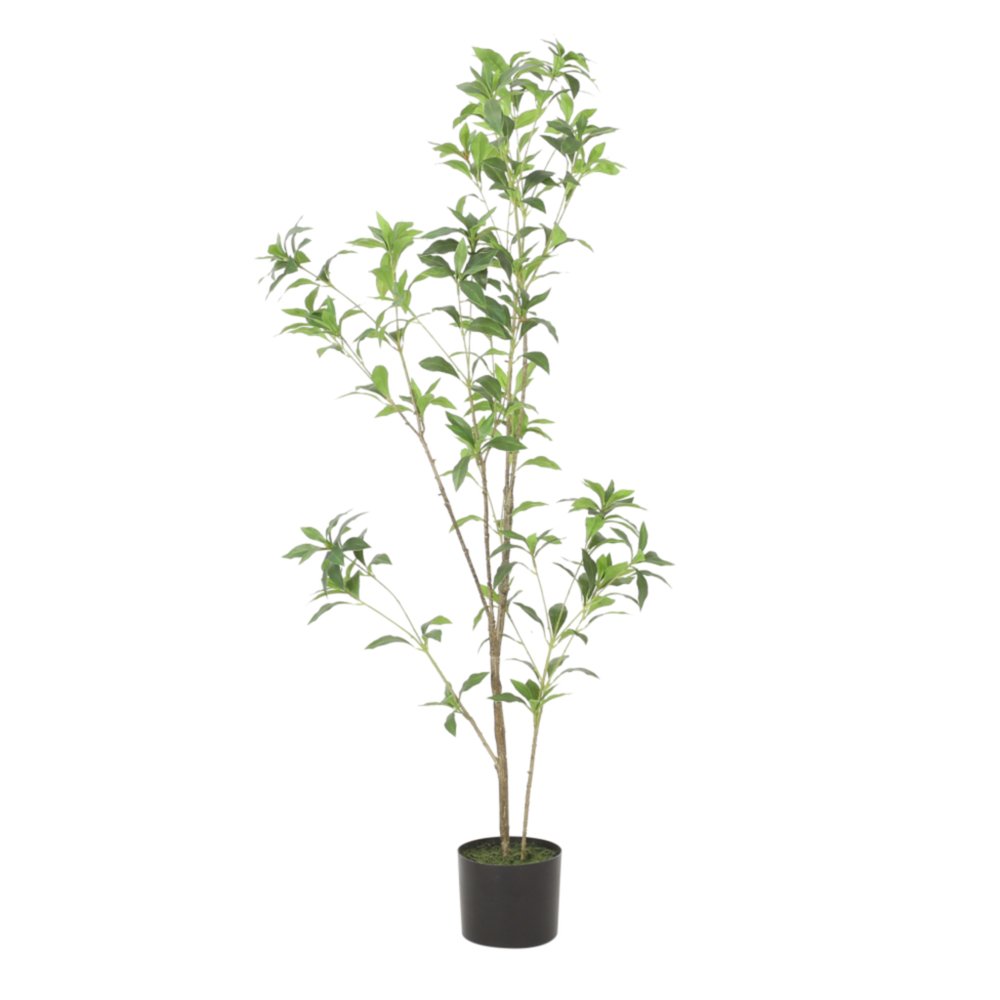Green Artificial in Cylindrical Black Pot - 47-inch