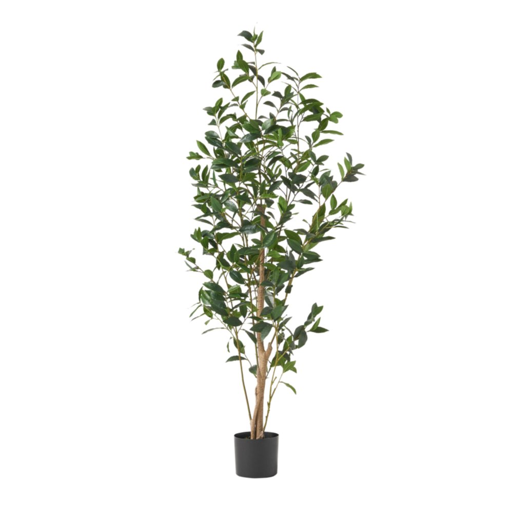 Green Artificial in Cylindrical Black Pot - 64-inch