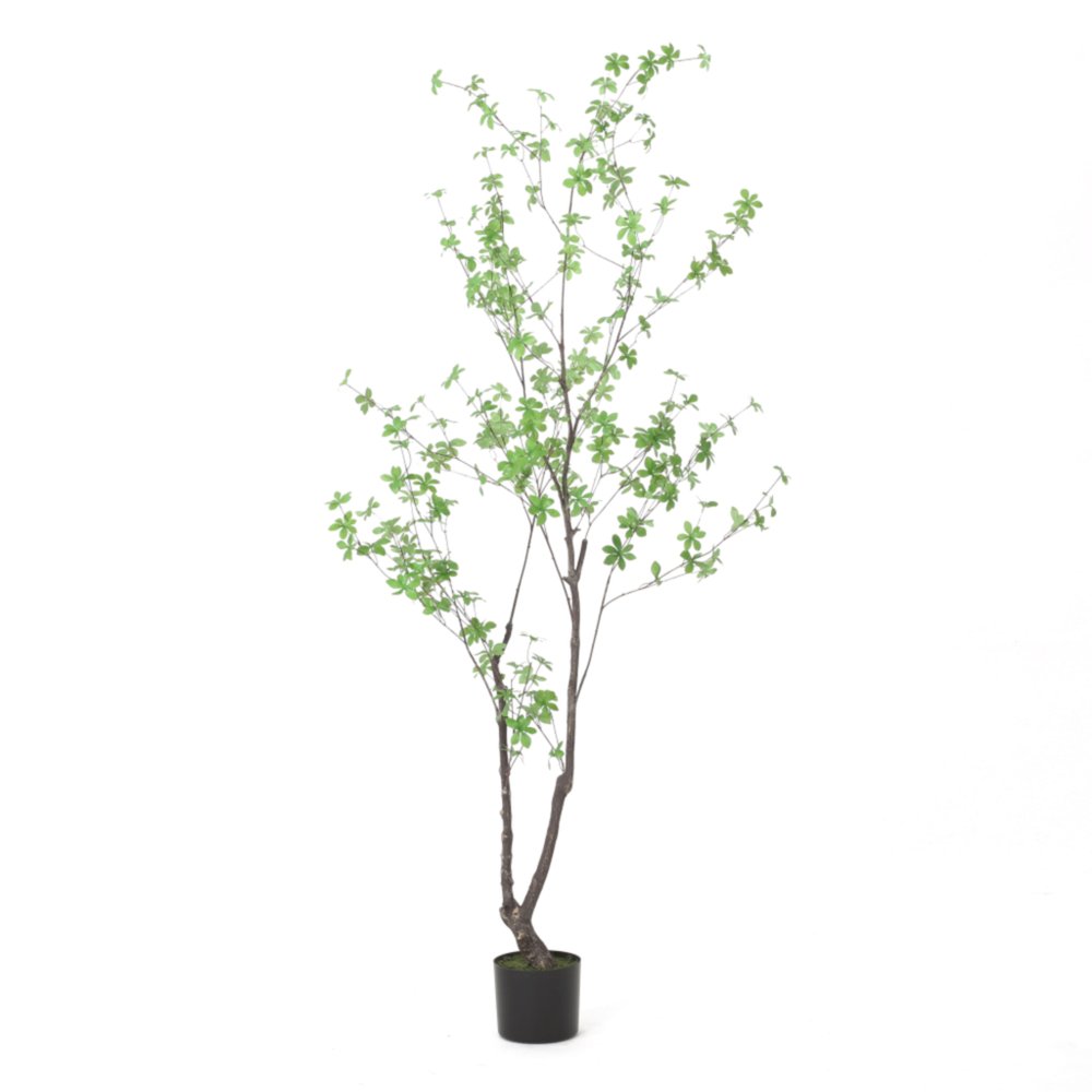 Green Artificial in Cylindrical Black Pot - 71-inch