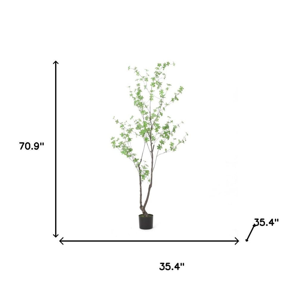 Green Artificial in Cylindrical Black Pot - 71-inch