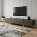 Ash Gray and Nickel Wood and Stainless Steel Enclosed Storage TV Stand