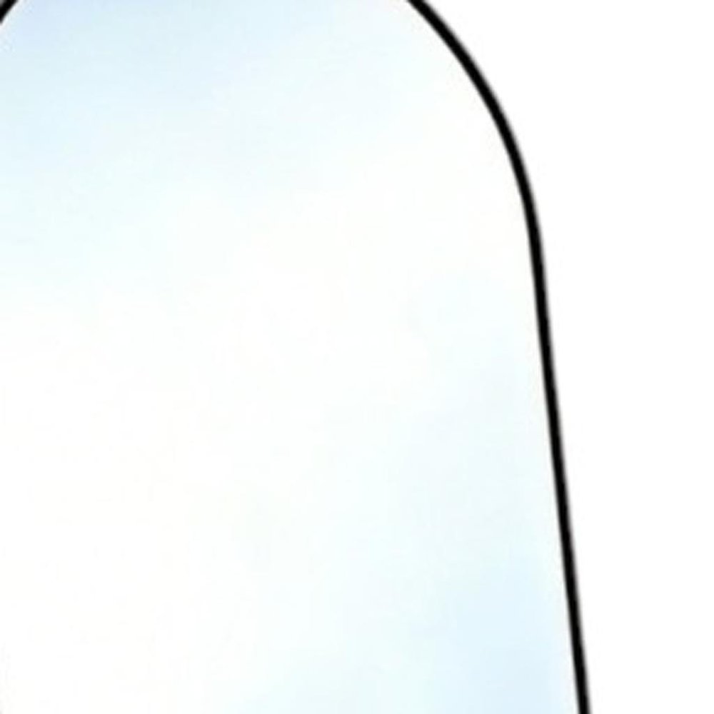 Black Aluminum Arch Freestanding and Wall Mounted Framed Full Length Mirror